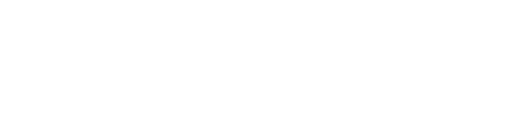 Qu'est-ce qu'un pirate ?